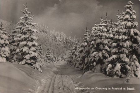 Altenberg-Rehefeld - Winterpracht am Grenzweg - 1970 Altenberg-Rehefeld - Winterpracht am Grenzweg - 1970