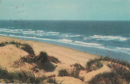 Dünen am Meer - 1965 Dünen am Meer - 1965