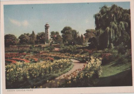 Essen - Gruga-Park - 1954 Essen - Gruga-Park - 1954