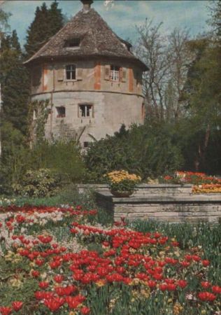 Mainau - Tulpen am alten Wehrturm - 1961 Mainau - Tulpen am alten Wehrturm - 1961