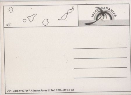 Kanarische Inseln - Spanien - Sonne und Palme