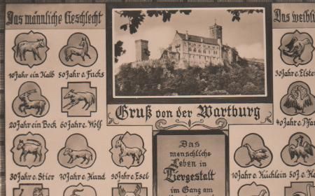 Eisenach - Männliches und weibliches Geschlecht - Menschliches Leben in Tiergestalt im Gesang Eisenach - Männliches und weibliches Geschlecht - Menschliches Leben in Tiergestalt im Gesang