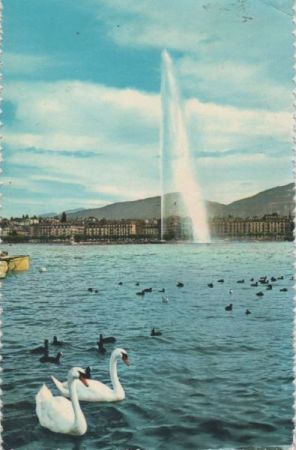 Genf / Genève - Schweiz - Wasserstrahl Genf / Genève - Schweiz - Wasserstrahl