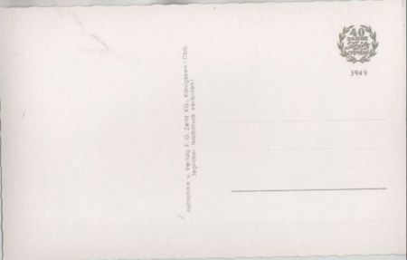 Drachenfels - Blick vom Rolandsbogen