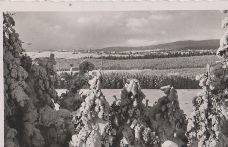 Frauenwald gesehen von Neuenstadt - ca. 1955 Frauenwald gesehen von Neuenstadt - ca. 1955