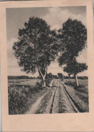 Feldweg mit Bäumen - ca. 1940 Feldweg mit Bäumen - ca. 1940