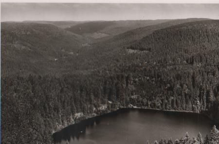 Freudenstadt - Wildsee bei Hornisgrinde - ca. 1955 Freudenstadt - Wildsee bei Hornisgrinde - ca. 1955