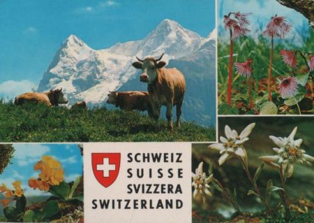Schweiz - Schweiz - ca. 1980 Schweiz - Schweiz - ca. 1980