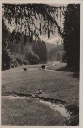 Tambach-Dietharz - Partie im Apfelstädter Grund - 1955 Tambach-Dietharz - Partie im Apfelstädter Grund - 1955