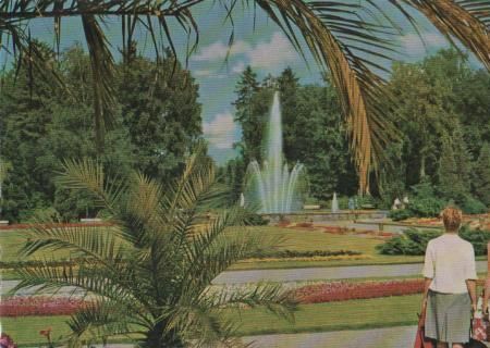Bad Lippspringe - Im Kurpark - 1965 Bad Lippspringe - Im Kurpark - 1965