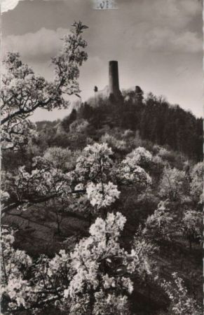 Weinheim - Burgruine Windeck - 1968 Weinheim - Burgruine Windeck - 1968