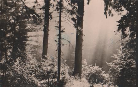 Bei Schwarzburg Thür. - ca. 1955 Bei Schwarzburg Thür. - ca. 1955