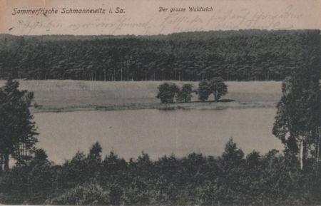 Dahlen-Schmannewitz - Der große Waldteich Dahlen-Schmannewitz - Der große Waldteich