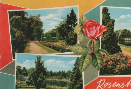 Uetersen - Rosarium - 1961 Uetersen - Rosarium - 1961