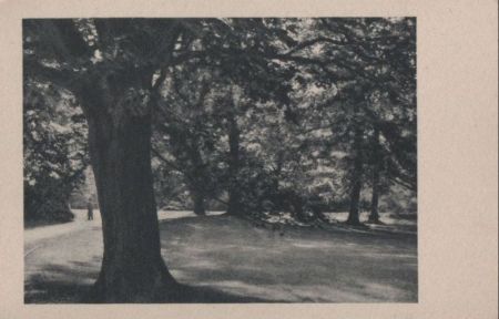 Park mit Spazierweg - ca. 1955 Park mit Spazierweg - ca. 1955