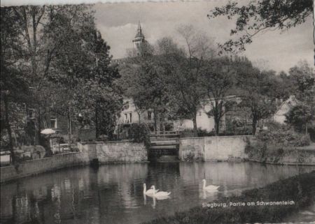 Siegburg - Partie am Schwanenteich - 1959 Siegburg - Partie am Schwanenteich - 1959