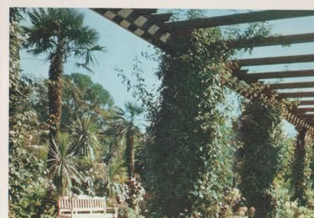 Palmengarten in Bad Pyrmont - ca. 1975 Palmengarten in Bad Pyrmont - ca. 1975