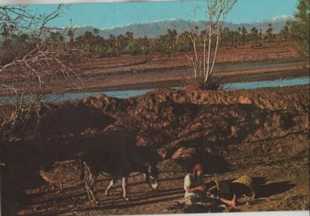 Marokko - Amtoudi - Sur la route - ca. 1980 Marokko - Amtoudi - Sur la route - ca. 1980
