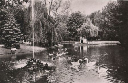 Bad Orb - Kurparkweiher - 1963 Bad Orb - Kurparkweiher - 1963