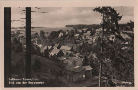 Tanne - Blick von der Badeanstalt - 1960 Tanne - Blick von der Badeanstalt - 1960