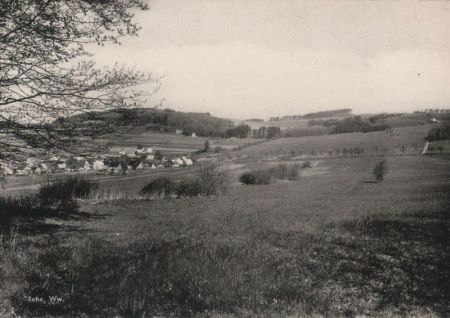 Rehe - Ansicht Rehe - Ansicht