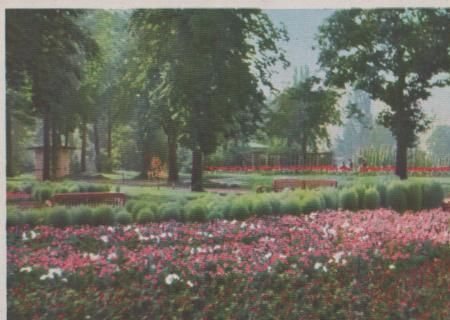Leipzig Markkleeburg Gartenbauaustellung - ca. 1965 Leipzig Markkleeburg Gartenbauaustellung - ca. 1965
