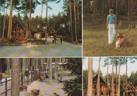 Plech - Waldschenke Hufeisen im Veldenateiner Forst - ca. 1980 Plech - Waldschenke Hufeisen im Veldenateiner Forst - ca. 1980