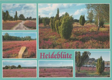 Lüneburger Heide - ca. 1995 Lüneburger Heide - ca. 1995