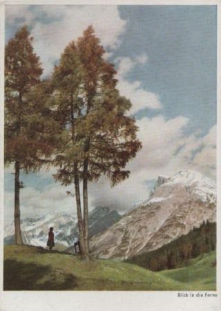 Blick in die Ferne Blick in die Ferne Blick in die Ferne Blick in die Ferne