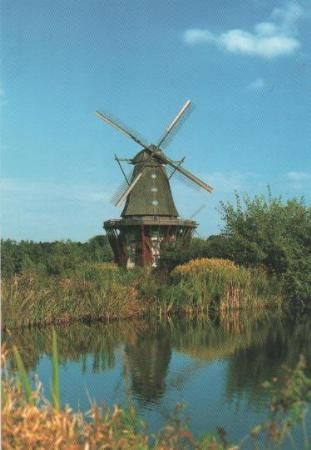 Gifhorn - Mühlenmuseum - 2004 Gifhorn - Mühlenmuseum - 2004