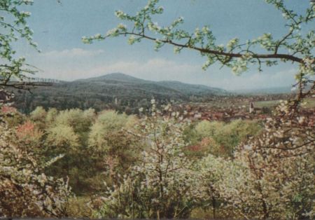 Bergstraße - blühend - 1958 Bergstraße - blühend - 1958