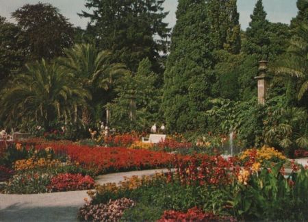 Bad Pyrmont - Palmengarten - ca. 1985 Bad Pyrmont - Palmengarten - ca. 1985