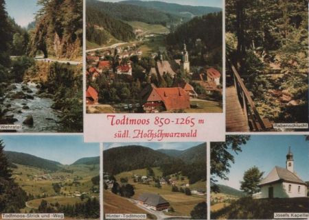 Todtmoos - mit 6 Bildern - ca. 1950 Todtmoos - mit 6 Bildern - ca. 1950