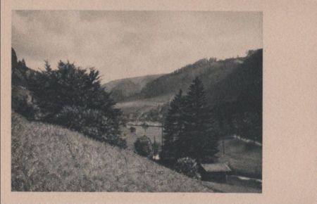 Hütte und Bäume im Tal - ca. 1955 Hütte und Bäume im Tal - ca. 1955