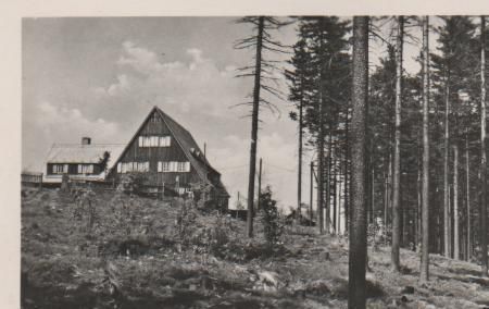 Altenberg Erzgeb. - Waldschänke Altes Raupennest - 1953 Altenberg Erzgeb. - Waldschänke Altes Raupennest - 1953