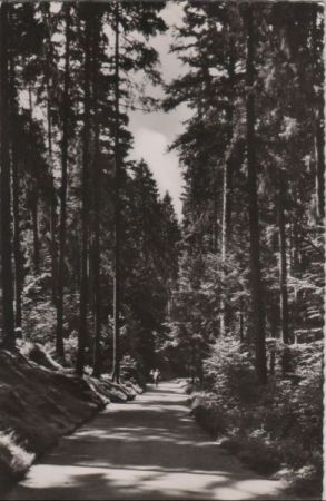 Freudenstadt - Teuchelweg - ca. 1960 Freudenstadt - Teuchelweg - ca. 1960