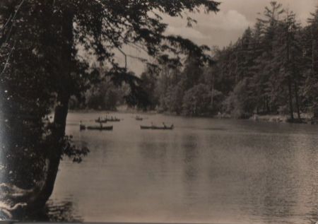 Tharandt-Grillenburg - Seerenteich - 1965 Tharandt-Grillenburg - Seerenteich - 1965