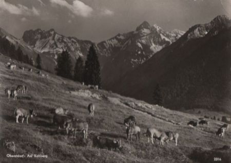 Oberstdorf - Am Kühberg - 1963 Oberstdorf - Am Kühberg - 1963