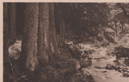 Braunlage - Harz - Im Ilsetal - ca. 1955 Braunlage - Harz - Im Ilsetal - ca. 1955
