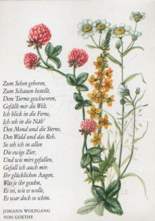 Sinnspruch Goethe Sonderstempel Sinnspruch Goethe Sonderstempel