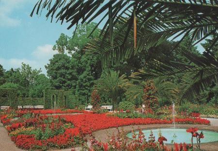 Bad Pyrmont - Palmengarten - ca. 1985 Bad Pyrmont - Palmengarten - ca. 1985