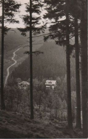 Altenberg-Waldbärenburg - Heuweg - 1965 Altenberg-Waldbärenburg - Heuweg - 1965