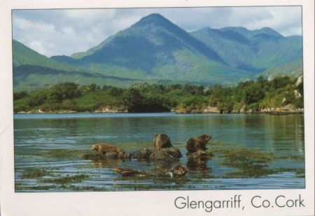 Irland - Glengariff - ca. 2000 Irland - Glengariff - ca. 2000