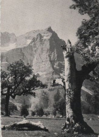 Österreich - Vomp-Eng - mit Spritzkarspitze - 1957 Österreich - Vomp-Eng - mit Spritzkarspitze - 1957