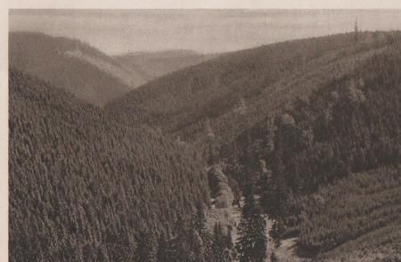 Oberhof - Blick ins Kehltal - ca. 1945 Oberhof - Blick ins Kehltal - ca. 1945