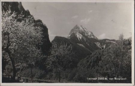 Österreich - Lugauer - vom Moosland - ca. 1955 Österreich - Lugauer - vom Moosland - ca. 1955