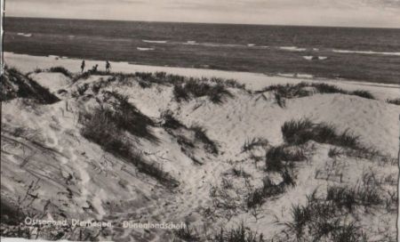 Dierhagen - Dünenlandschaft - 1958 Dierhagen - Dünenlandschaft - 1958