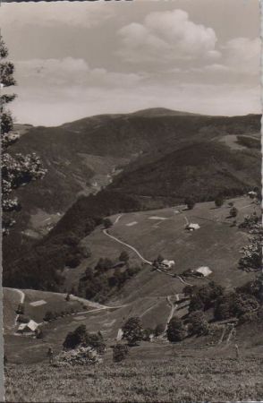 Schauinsland (Berg) - Blick zum Feldberg - 1960 Schauinsland (Berg) - Blick zum Feldberg - 1960