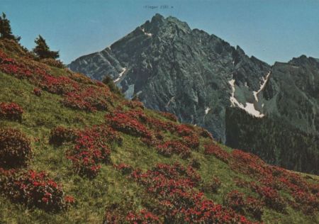 Italien - Ifinger - Hirzer Hochplateua - ca. 1985 Italien - Ifinger - Hirzer Hochplateua - ca. 1985