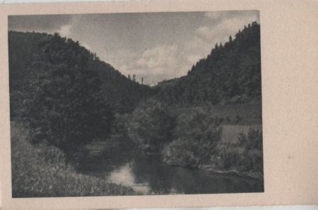 Gewässer im Wald - ca. 1955 Gewässer im Wald - ca. 1955